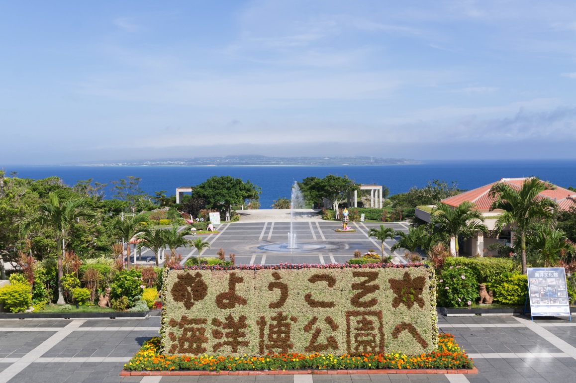 Okinawa 8